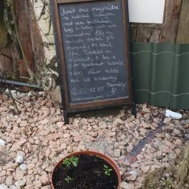 Patkó Kocsma Kapuvár - Egyéb