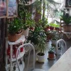 Patkó Kocsma Kapuvár - Egyéb