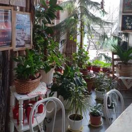 Patkó Kocsma Kapuvár - Egyéb