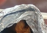 Pedró Büfé - Fagyizó Balatonfüred