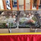 Pekáry Kastély Étterem Pécel - Étel/ital