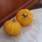 Péksarok Kistelek - Egyéb