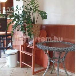 Péksarok, Kistelek - Egyéb