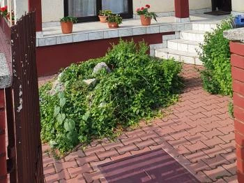 Pelikán Magánszállás Nagykanizsa