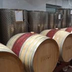 Pellikán Birtok Kiskunmajsa - Egyéb