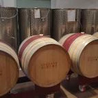 Pellikán Birtok Kiskunmajsa - Egyéb