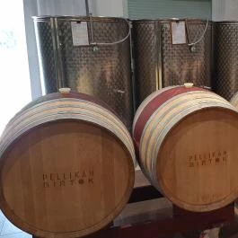 Pellikán Birtok Kiskunmajsa - Egyéb