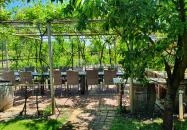 Pellikán Birtok Kiskunmajsa