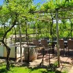 Pellikán Birtok Kiskunmajsa - Egyéb