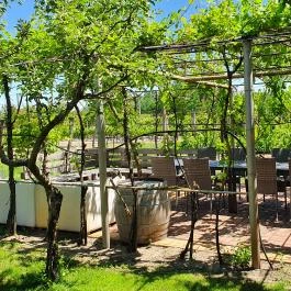 Pellikán Birtok Kiskunmajsa - Egyéb