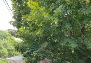 Pepe Óriáspalacsintázója Abádszalók