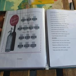 Pepino eszpresszó, Fonyód - Étlap/itallap