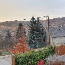 Percze Étterem Mád - Egyéb