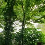 Perem Bár Budapest - Egyéb