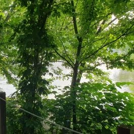 Perem Bár Budapest - Egyéb