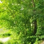 Perem Bár Budapest - Egyéb