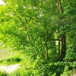 Perem Bár Budapest - Egyéb