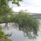 Perem Bár Budapest - Egyéb