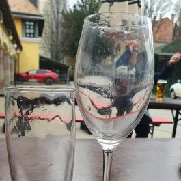 Piaci Borozó Vác - Egyéb