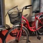 Piactéri Borkóstoló Karcag - Egyéb