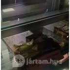 Pianino Cukrászda & Kávéház Szeged - Étel/ital