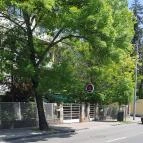 Pikk Dáma Söröző Budapest - Egyéb