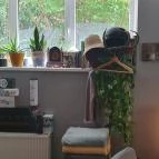 Pikk Dáma Söröző Budapest - Egyéb