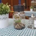 Piknik Büfé Balatonfüred Balatonfüred - Egyéb