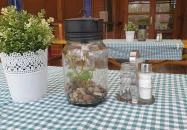 Piknik Büfé Balatonfüred Balatonfüred