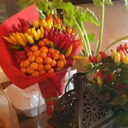 Piknik Manufaktúra Nagymaros - Egyéb