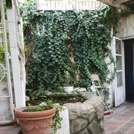 Piknik Manufaktúra Nagymaros - Egyéb