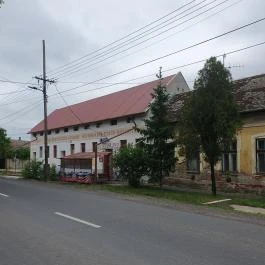 Piktor ivó Makó - Egyéb
