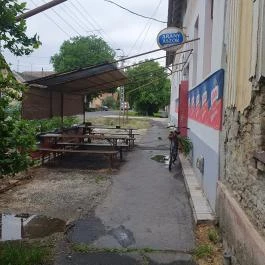 Piktor ivó Makó - Egyéb