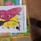 Pillangó Monor - Egyéb