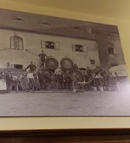 Pivohalle Sörvendéglő