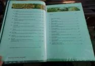 Pizza 6 Mezőkövesd