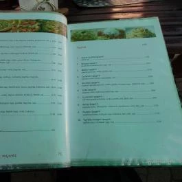 Pizza 6 Mezőkövesd - Étlap/itallap