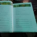 Pizza 6 Mezőkövesd - Étlap/itallap