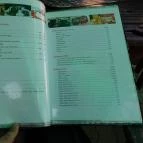 Pizza 6 Mezőkövesd - Étlap/itallap