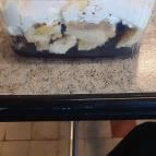 Pizza 7 - Étterem & Söröző Pettend - Étel/ital