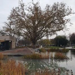 Pizza Forte Debrecen - Egyéb