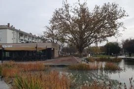 Pizza Forte Debrecen