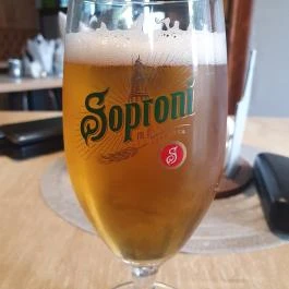 Pizza & Gyros Étterem & Rendezvényterem Tata - Egyéb