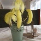 Pizzakert Hajós - Egyéb