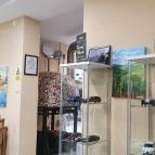 Pizzeria il Peperoncino Biatorbágy - Egyéb