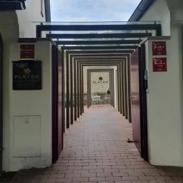 Platán Gourmet Étterem Tata - Egyéb