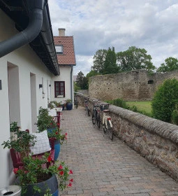 Platán Gourmet Étterem