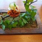 Platán Gourmet Étterem Tata - Egyéb