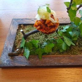 Platán Gourmet Étterem Tata - Egyéb