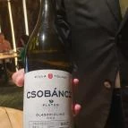 Platán Gourmet Étterem Tata - Egyéb